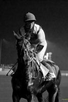 hippodrome2014 (16).jpg